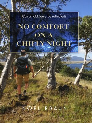 cover image of No Comfort on a Chilly Night